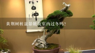 黄荆树桩盆景能放室内过冬吗？