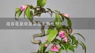 迎春花悬崖盆景怎么做造型？