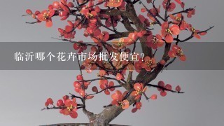 临沂哪个花卉市场批发便宜？