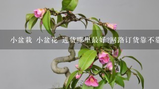 小盆栽 小盆花 进货哪里最好?网路订货靠不靠普呢?可不可以请有经验的分析1下?