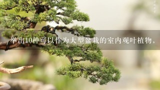 举出10种可以作为大型盆栽的室内观叶植物，并说出其科名、观赏特性及园林用途。