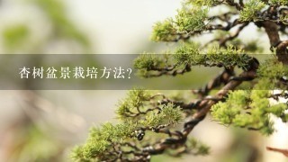 杏树盆景栽培方法？