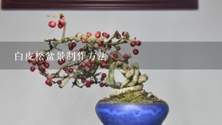 白皮松盆景制作方法