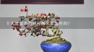 十大盆景名贵树种排名是怎样的？