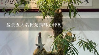 盆景5大名树是指哪5种树