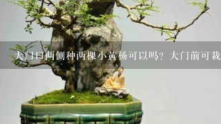 大门口两侧种两棵小黄杨可以吗？大门前可栽两棵黄杨吗？