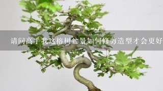 请问高手我这榕树盆景如何修剪造型才会更好看呀，谢谢啦!