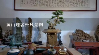 黄山迎客松风景图