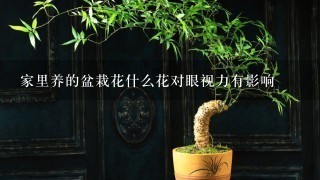 家里养的盆栽花什么花对眼视力有影响