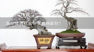 客厅盆栽摆放什么植物最好？