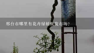 邢台市哪里有花卉绿植批发市场？