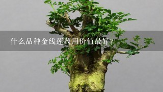 什么品种金线莲药用价值最好？