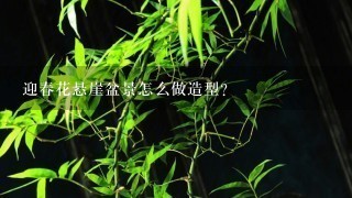 迎春花悬崖盆景怎么做造型？