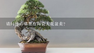 请问佛山哪里有陶瓷大花盆卖？