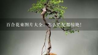 百合花束图片大全，怎么搭配都惊艳！