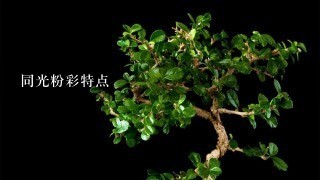 同光粉彩特点