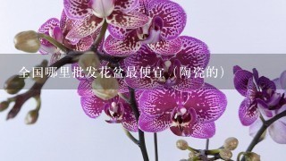 全国哪里批发花盆最便宜（陶瓷的）