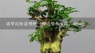 请罗汉松造型师1棵造型多少钱，40cm？