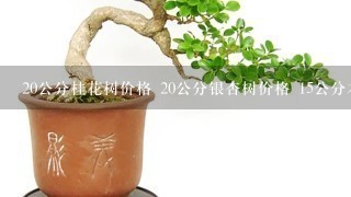 20公分桂花树价格 20公分银杏树价格 15公分木瓜树价格！ 2011年的 。谢谢。