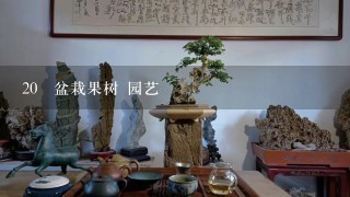 20 盆栽果树 园艺