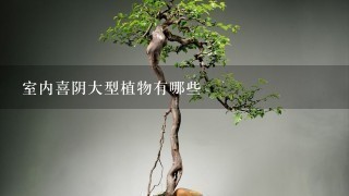 室内喜阴大型植物有哪些