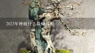 2023年种植什么最赚钱呢