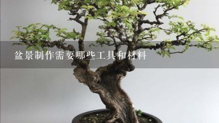 盆景制作需要哪些工具和材料