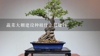 蔬菜大棚建设种植什么最赚钱