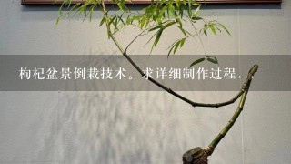 枸杞盆景倒栽技术。求详细制作过程...