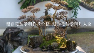 迎春花盆景制作及价格 迎春花盆景图片大全