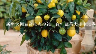 新型大棚卷帘机多少钱1台？蔬菜大棚电动卷帘机的价格是多少？