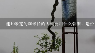 建10米宽的80米长的大棚要用什么骨架，造价是多少？