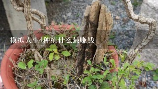 模拟人生4种植什么最赚钱