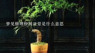 梦见修理松树盆景是什么意思