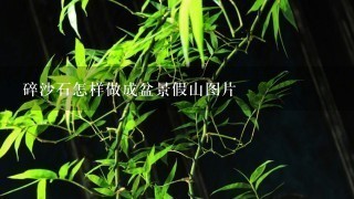 碎沙石怎样做成盆景假山图片