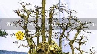 假山盆景如何定价?是按照大小，材质，绿植，还是造型?