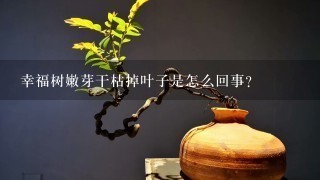 幸福树嫩芽干枯掉叶子是怎么回事？