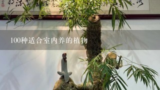 100种适合室内养的植物