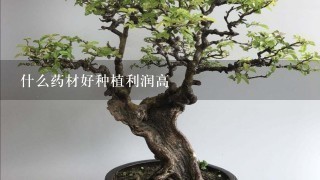 什么药材好种植利润高