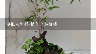 模拟人生4种植什么最赚钱