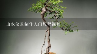 山水盆景制作入门教程视频