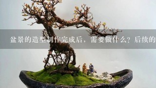 盆景的造型制作完成后，需要做什么？后续的养护如何进行？还是正常养护吗？