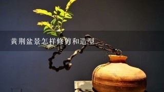 黄荆盆景怎样修剪和造型