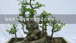 绿植花卉批发进货渠道怎么联系？