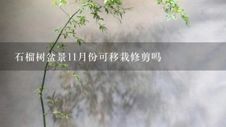 石榴树盆景11月份可移栽修剪吗