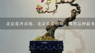 北京花卉市场，北京盆景市场，哪里品种最多，最全，价格最便宜？