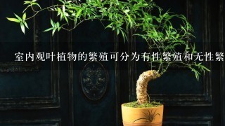 室内观叶植物的繁殖可分为有性繁殖和无性繁殖，大部分室内观叶植物均采用播种繁殖的方法。()