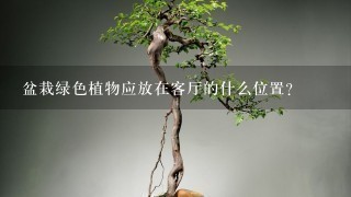 盆栽绿色植物应放在客厅的什么位置？