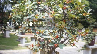 传统种植行业的优缺点