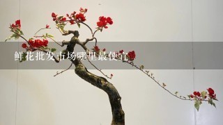 鲜花批发市场哪里最便宜